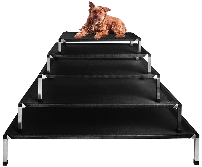 Velikosti lehatek pes web png